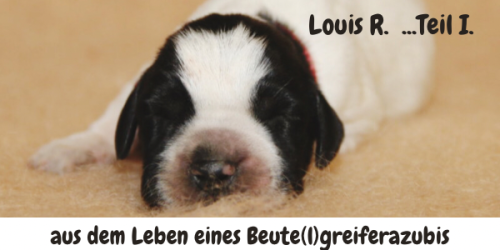 LouisR1